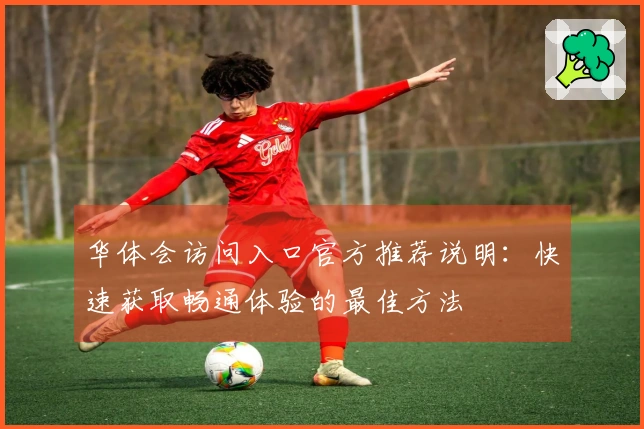 华体会访问入口官方推荐说明：快速获取畅通体验的最佳方法