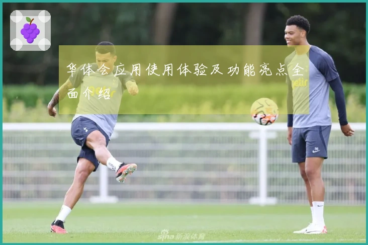 华体会应用使用体验及功能亮点全面介绍